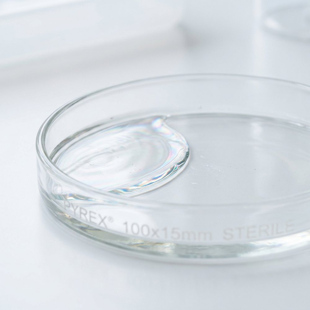 Petri dish and clinical liquid sample for female hormone testing